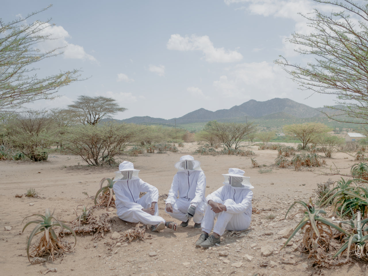 INGMAR B. NOLTING Beekeepers