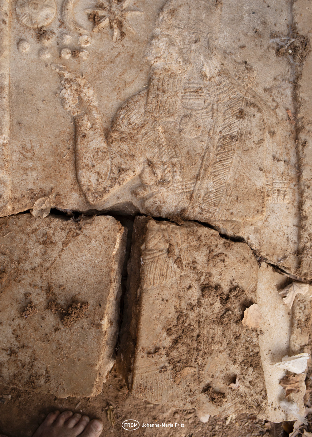 Johanna-Maria Fritz Poster