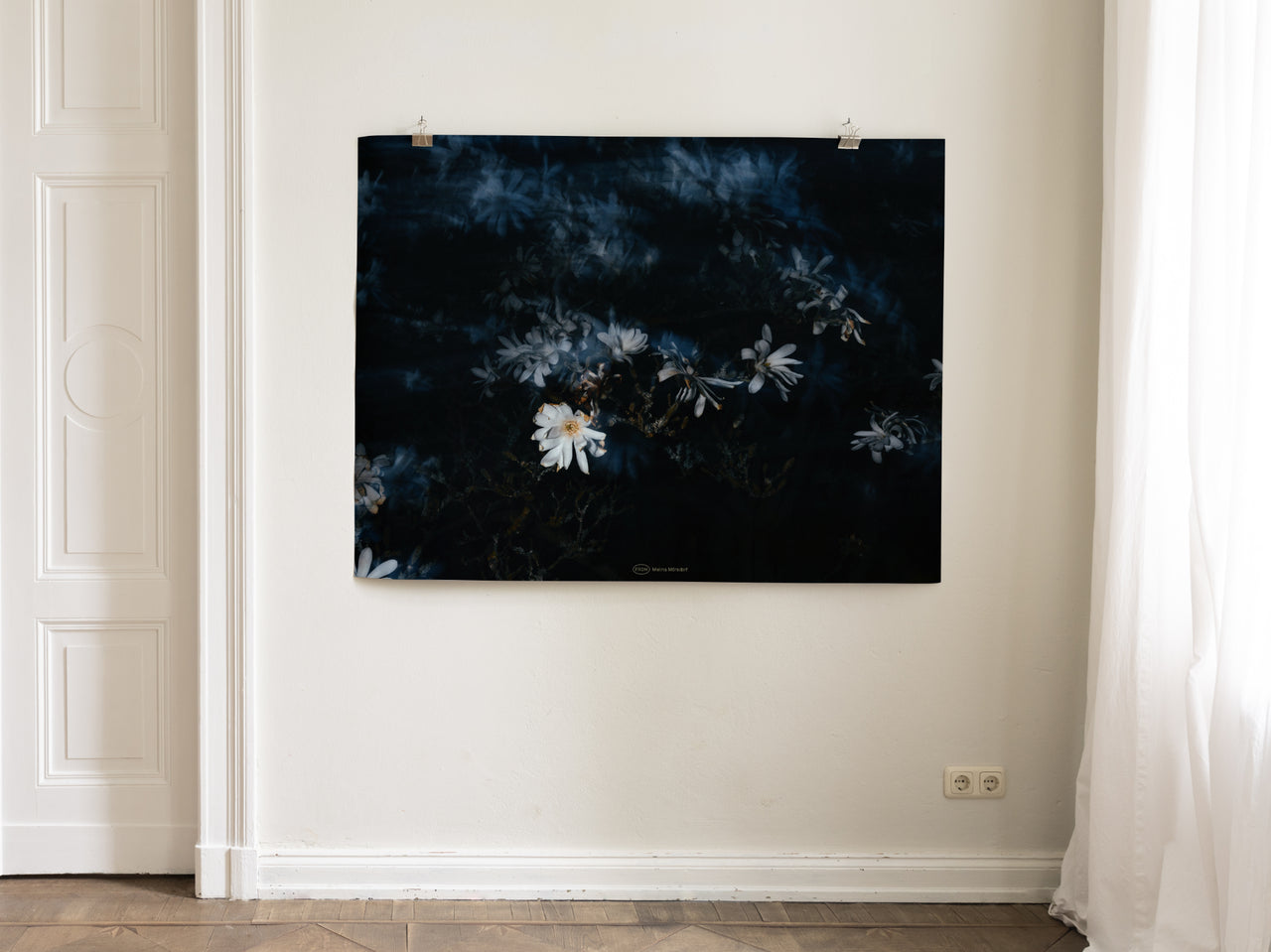 MELINA MÖRSDORF Magnolia Posterprint