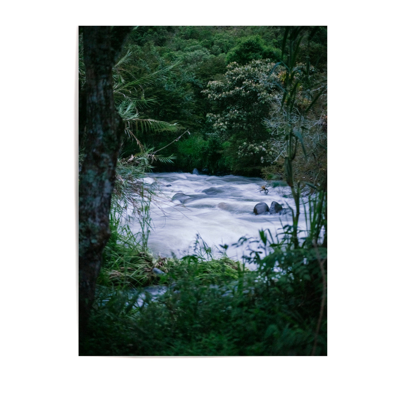 MARIA STURM Rio Apuela Fine Art Print