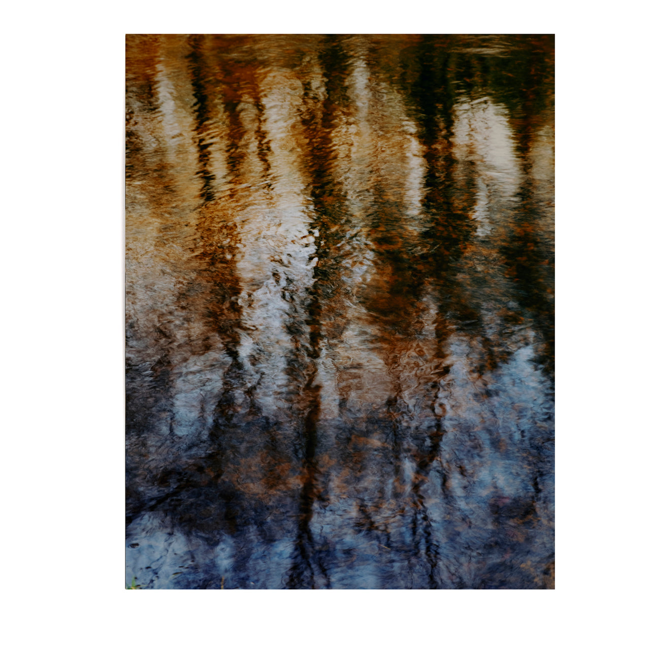 MARZENA SKUBATZ Wildnis 1