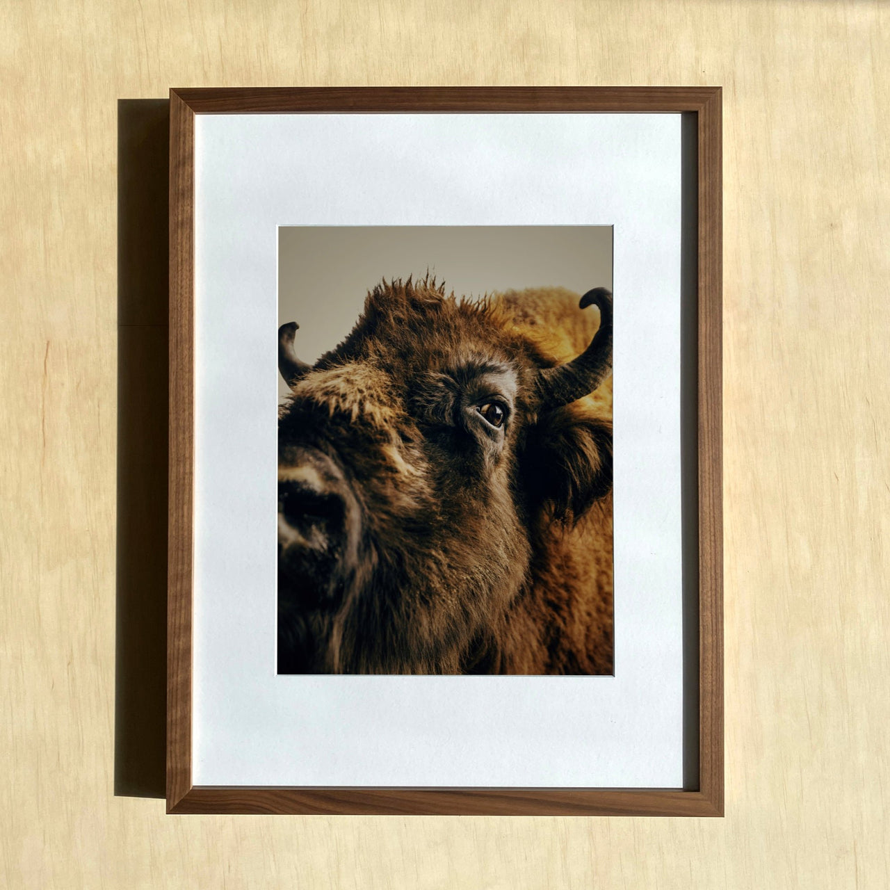 MARZENA SKUBATZ Wildnis III