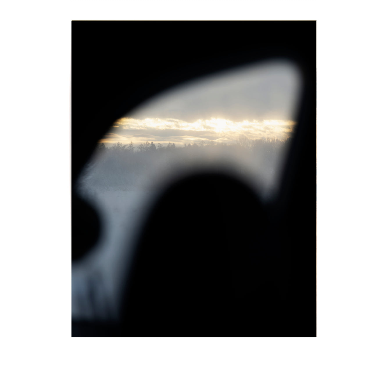 MARZENA SKUBATZ Wildnis 2