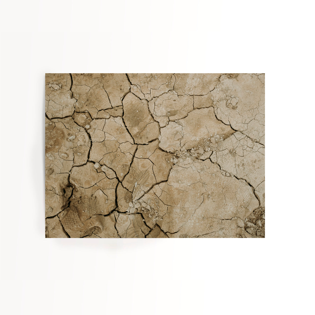 SONJA STICH Craquelé FINE ART PRINT