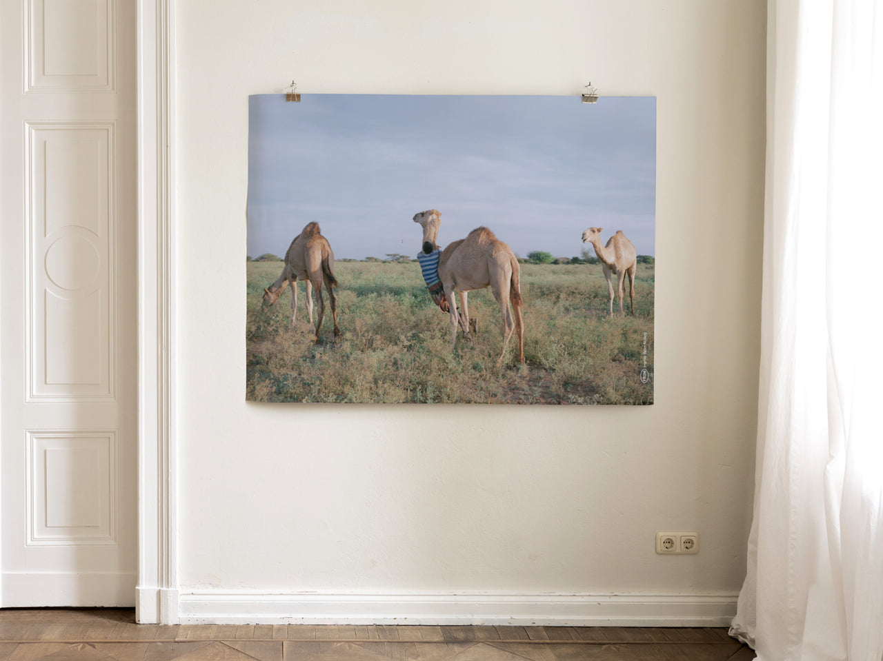 INGMAR B. NOLTING Camel Herder