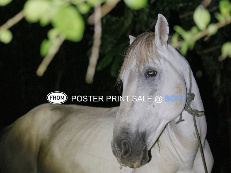 POSTER PRINT SALE 5.12.