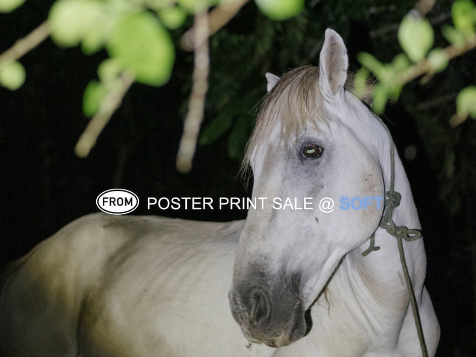 POSTER PRINT SALE 5.12.