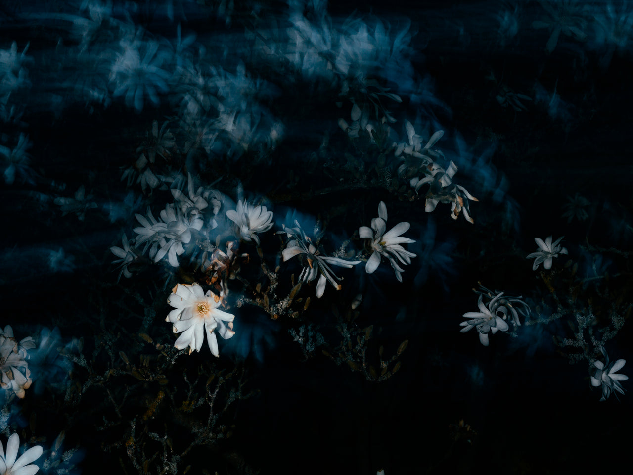 MELINA MÖRSDORF Documenting loss